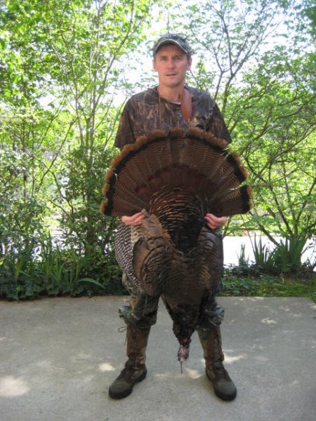 Chris Pratt mountain gobbler 