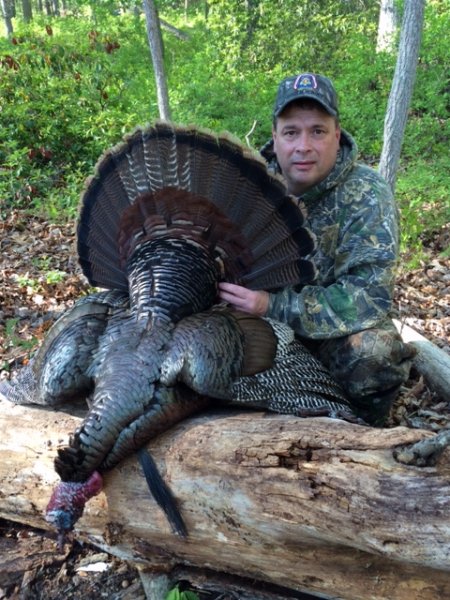 Todd Warker 