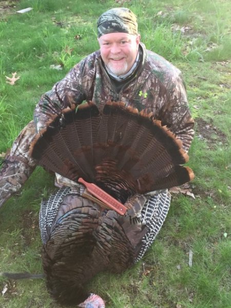 Steve Holl