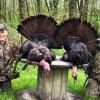 2018 Turkey Season